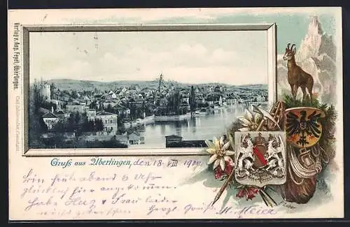 Passepartout-Lithographie Überlingen / Bodensee, Ortsansicht von oben, Gemse, Bergsteiger-Ausrüstung