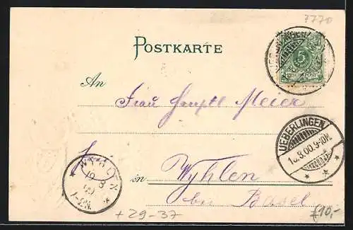 Passepartout-Lithographie Überlingen / Bodensee, Ortsansicht von oben, Gemse, Bergsteiger-Ausrüstung