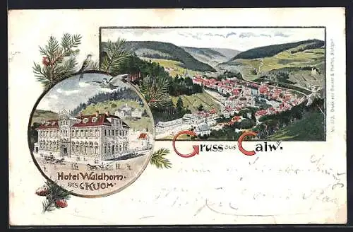 Lithographie Calw, Gesamtansicht, Hotel Waldhorn