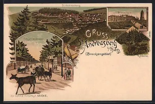 Lithographie St. Andreasberg / Harz, die zahme Hirschkuh Mieke, Brockenhotel, Ortspanorama