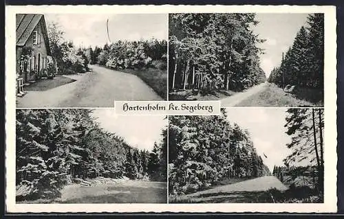 AK Hartenholm /Kr. Segeberg, Strassenpartien, Ortspartie