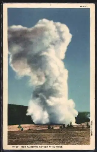 AK Yellowstone National Park, Oldfaithful Geyser at sunrise, Geysir