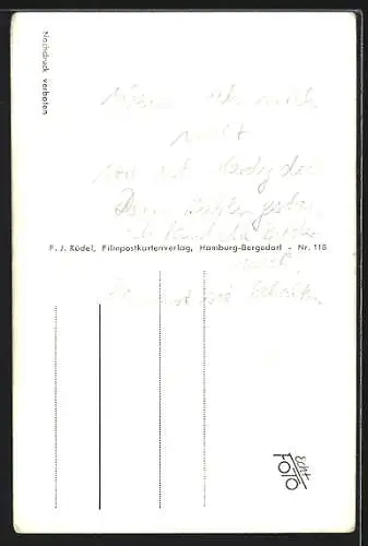 AK Schauspieler Hardy Krüger in kariertem Hemd