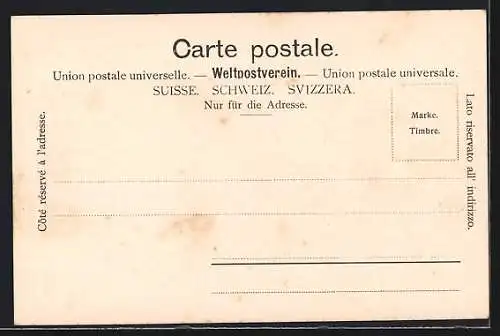 AK Landeron, Vue generale
