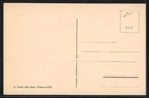 AK Château-d`Oex, Ortsansicht im Winter