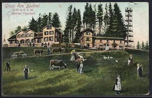 AK Bachtel /Zürcher Oberland, Dorfbewohner auf der Weide