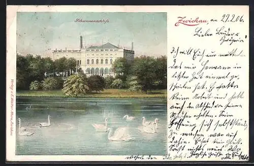 AK Zwickau, Schwanenschloss mit Schwänen