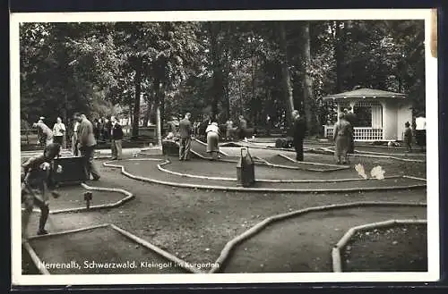 AK Herrenalb /Schwarzwald, Kleingolf im Kurgarten