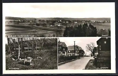 AK Vorderwestermurr, Panorama, Murrsprung u. Ortsansicht