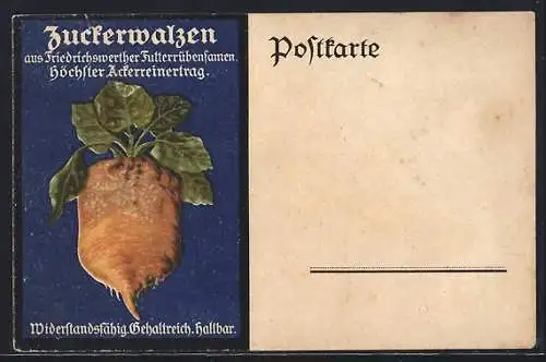 AK Friedrichswerth, Reklame für Zuckerwalzen aus Futterrübensamen