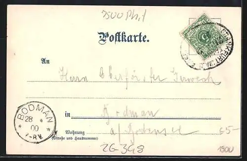 Künstler-AK Carl Münch: Karlsruhe, Blick auf das Palais Prinz Max