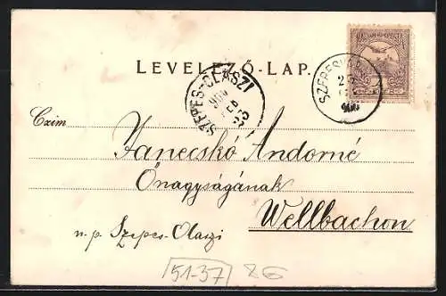 Lithographie Ungarischer Bauer in Tracht mit einer Pfeife