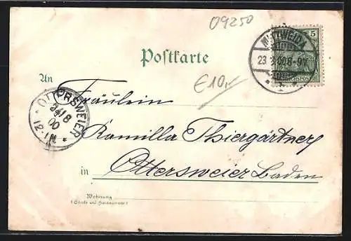 AK Mittweida, Geschäfte am Markt