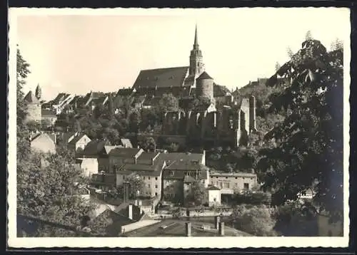 AK Bautzen, Ortsansicht über die Dächer mit Burg