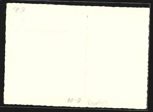 AK Bautzen, Ortsansicht über die Dächer mit Burg