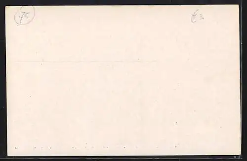 AK Paris, Porte de Bercy inondée (janvier 1910)