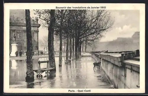 AK Paris, Souvenir des Inondations de Janvier 1910, Quai Conti inondé et arbres bordant la Seine
