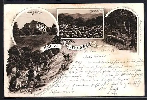 Lithographie Lautertal, Felsenberg, Hotel Haberkorn, Riesensäule, Felsenmeer