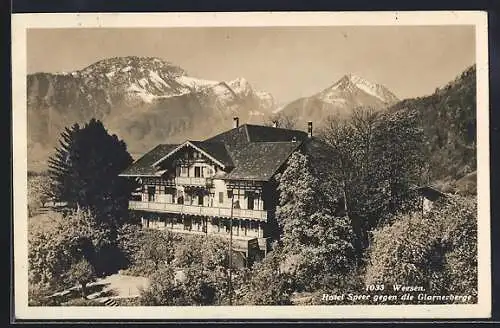 AK Weesen, Hotel Speer gegen die Glarnerberge