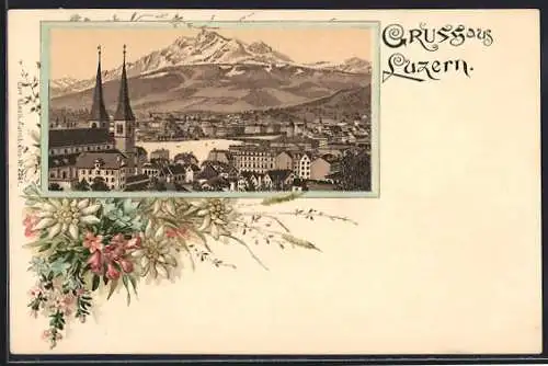 Lithographie Luzern, Teilansicht