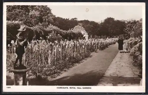 AK Harrogate, Royal Hall Gardens