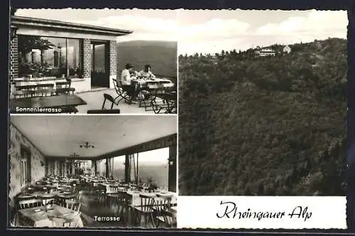 AK Lorch /Rhein, Gaststätte Rheingauer-Alp