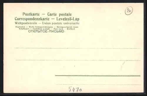 AK Andernach, Ortsansicht aus der Vogelschau
