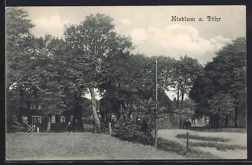 AK Nieblum a. Föhr, Blick in den Ort mit Bäumen