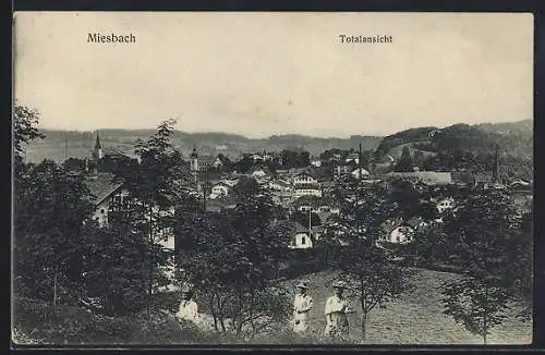 AK Miesbach, Generalansicht des Ortes