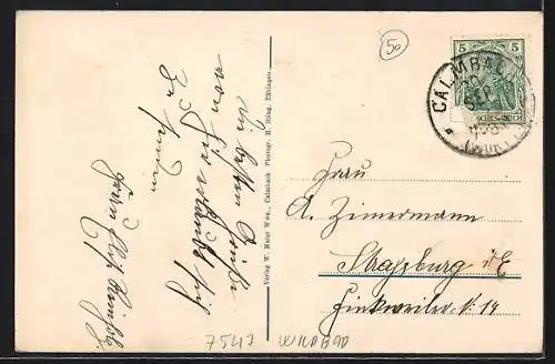 AK Calmbach b. Wildbad, Heilstätte Charlottenhöhe am Waldesrand