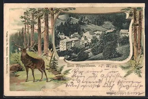 Passepartout-Lithographie Bad Rippoldsau, Ortspartie, Hirsch auf einer Wiese