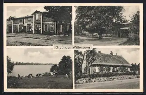 AK Wittenborn, Geschäft, Gebäudeansicht, Uferpartie