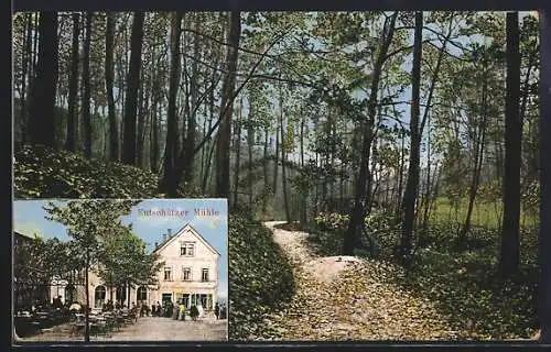 AK Bannewitz, Gasthaus Euschützer Mühle, Waldpartie