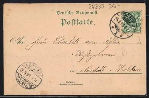 Lithographie Schleswig, Domschule, Seminar, Rathaus