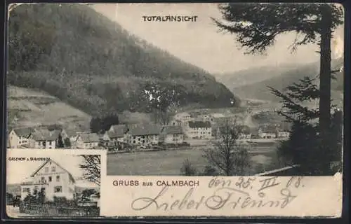 AK Calmbach, Gasthaus Zum Bahnhof, Panorama