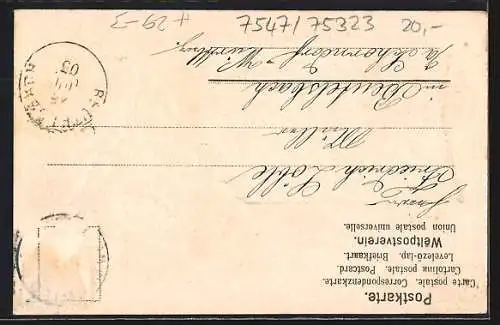 Passepartout-Lithographie Bad Wildbad, Ortsansicht mit Strassenpartie