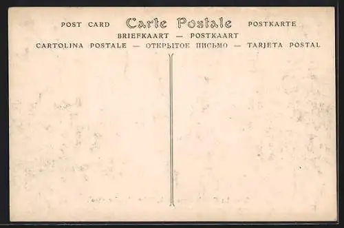 AK Paris, Les passerelles de circulation du système Linéo pendant la crue de la Seine, Janvier 1910