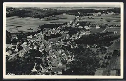AK Auingen, Totalansicht mit Strasse u. Feldern, Fliegeraufnahme