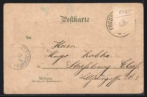 Lithographie Freudenstadt, Marktplatz, Wasserfall mit Rehen, Ortsansicht