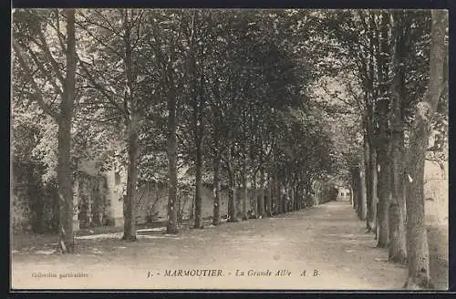 AK Marmoutier, La Grande Allée