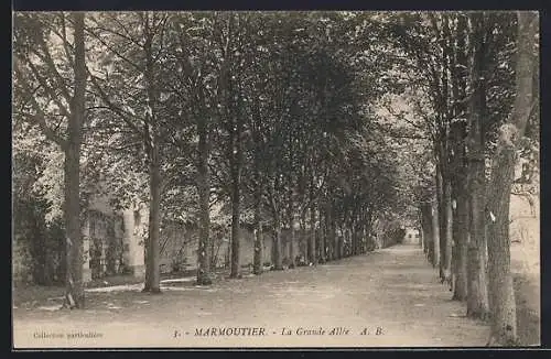 AK Marmoutier, La Grande Allée