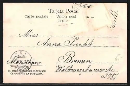 AK Iquique, Calle Tarapacá