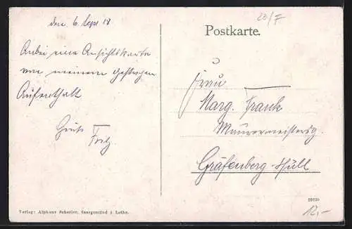 AK Saargemünd, Parktstrasse mit Hospital