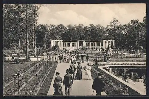 AK Berlin-Tiergarten, Rosengarten im Tiergarten