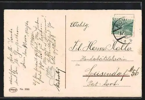 AK Schornsteinfeger mit einer Leiter und zwei Schweinen