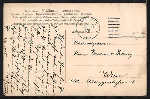 AK Schwein auf einer Wiese mit Kleeblatt