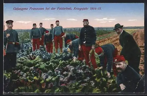 AK Kriegsgefangene Soldaten in Uniform bei der Feldarbeit, Kriegsjahr 1914-15