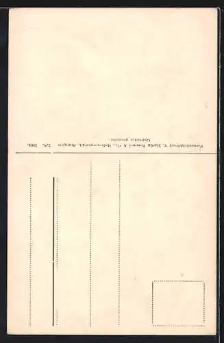 AK Pilz, Brätling Lactarius volemus, Essbar