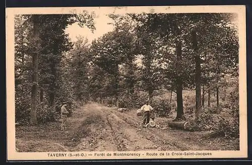 AK Taverny, Forêt de Montmorency, Route de la Croix-Saint-Jacques