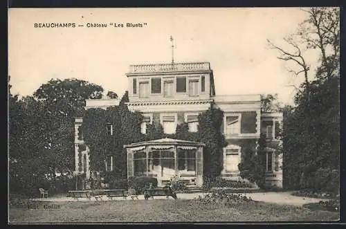 AK Beauchamps, Château Les Bluets